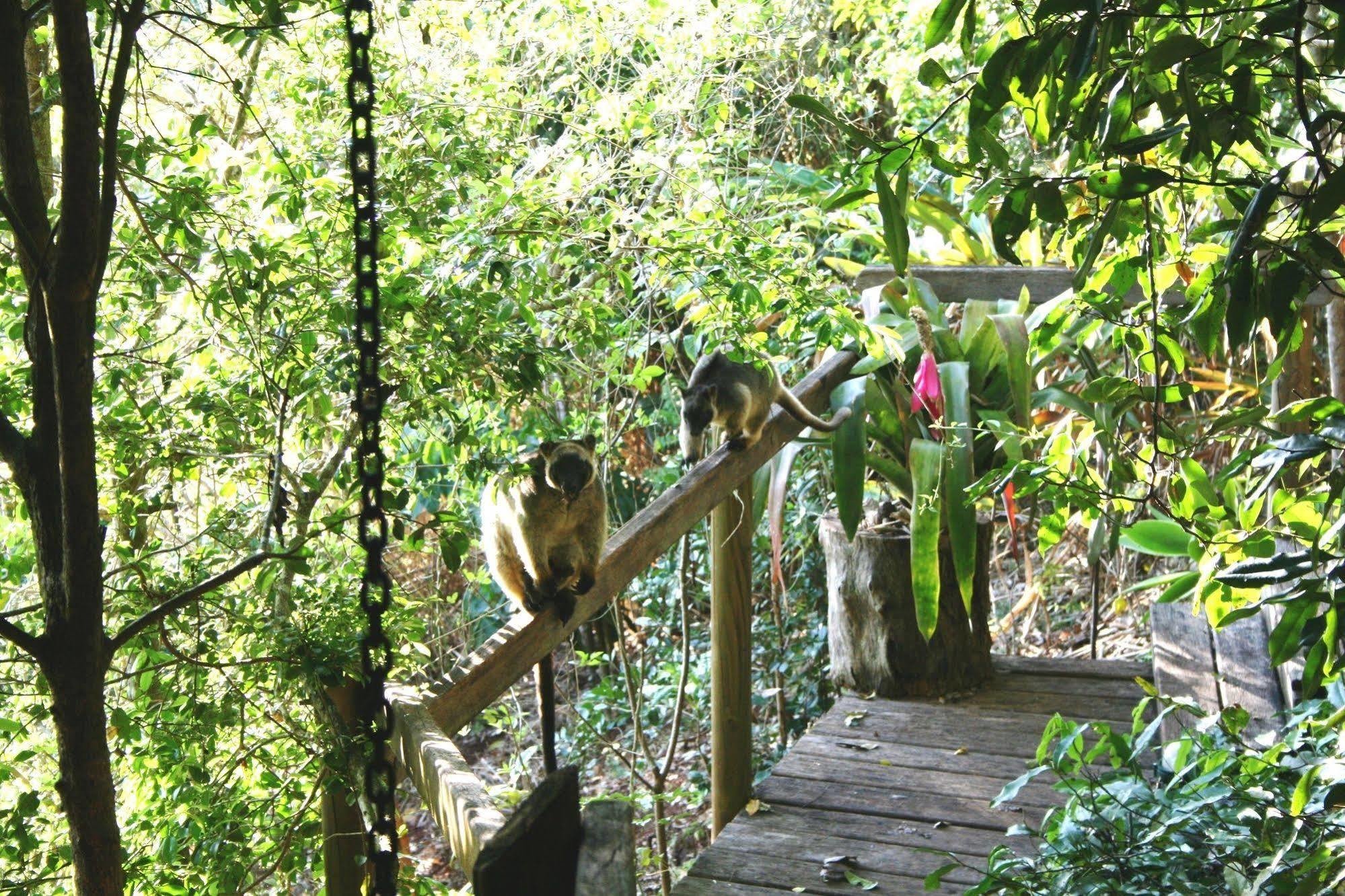 Mt Quincan Crater Retreat Yungaburra Exterior photo
