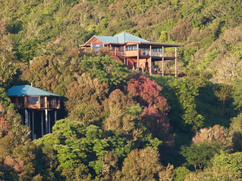 Mt Quincan Crater Retreat Yungaburra Exterior photo