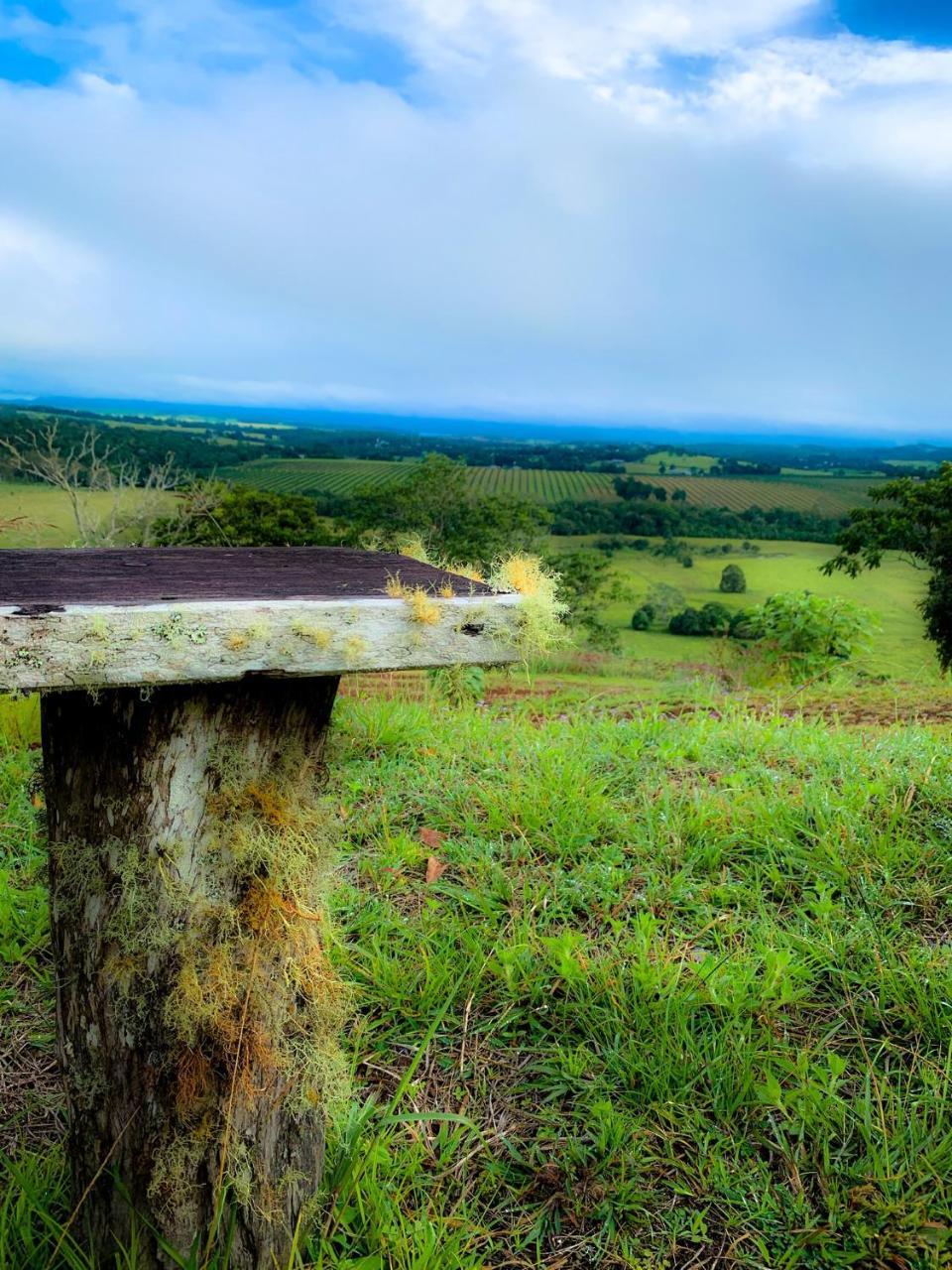 Mt Quincan Crater Retreat Yungaburra Exterior photo
